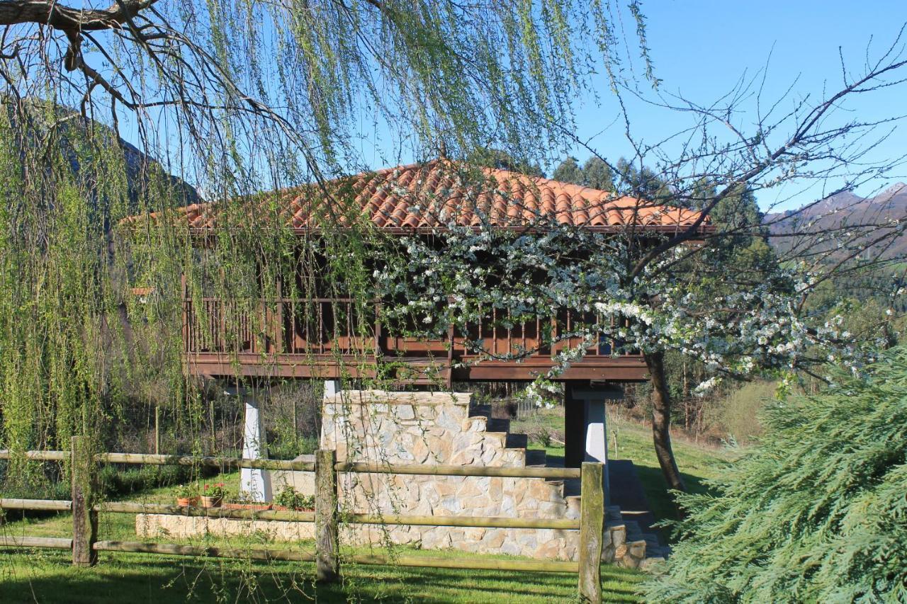 Casa De Aldea La Xana Casa rural *
